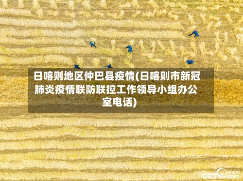 日喀则地区仲巴县疫情(日喀则市新冠肺炎疫情联防联控工作领导小组办公室电话)