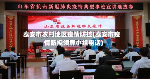 泰安市农村地区疫情防控(泰安市疫情防控领导小组电话)