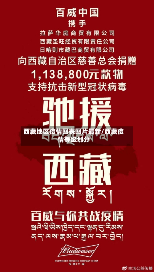 西藏地区疫情图表图片最新/西藏疫情等级划分
