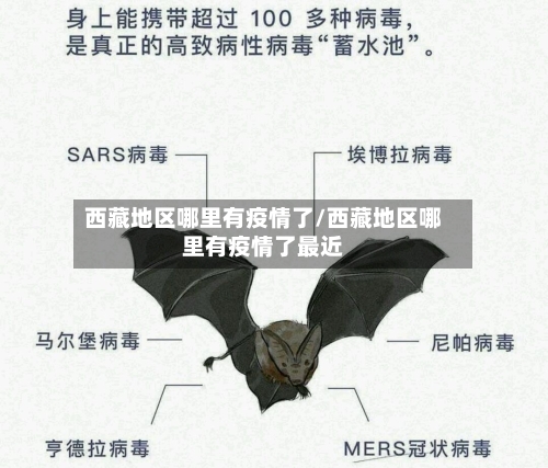 西藏地区哪里有疫情了/西藏地区哪里有疫情了最近-第2张图片