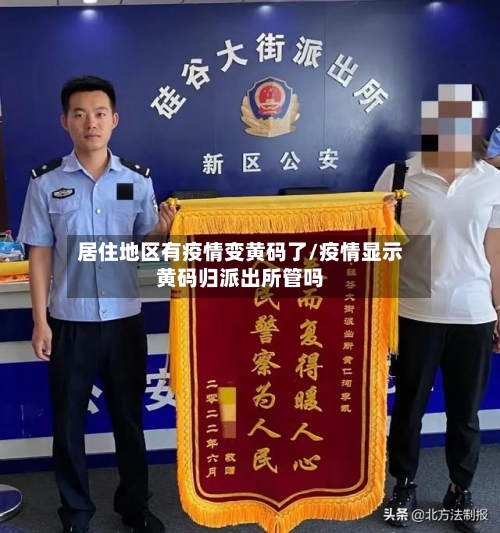 居住地区有疫情变黄码了/疫情显示黄码归派出所管吗-第2张图片