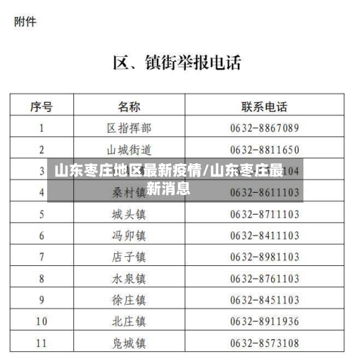 山东枣庄地区最新疫情/山东枣庄最新消息-第3张图片