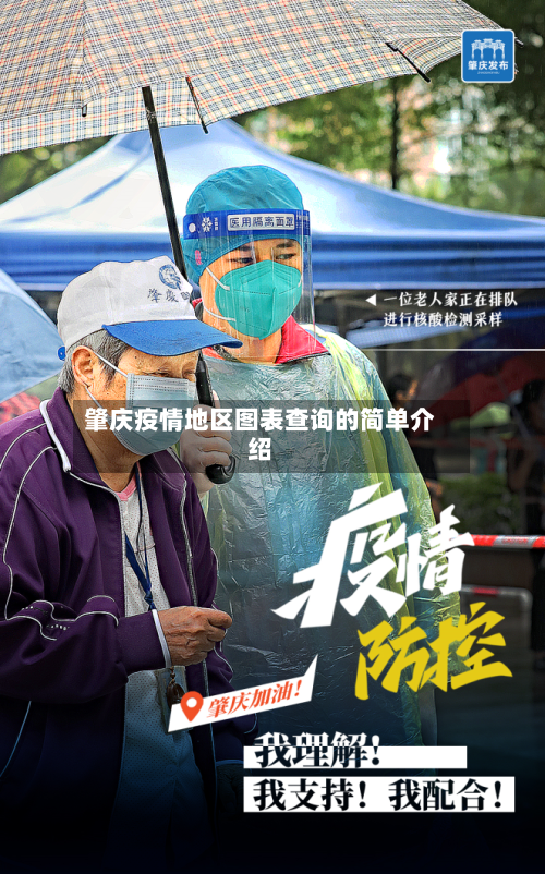 肇庆疫情地区图表查询的简单介绍-第3张图片