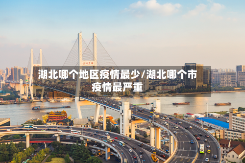 湖北哪个地区疫情最少/湖北哪个市疫情最严重