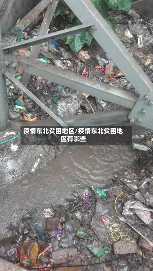 疫情东北贫困地区/疫情东北贫困地区有哪些-第3张图片