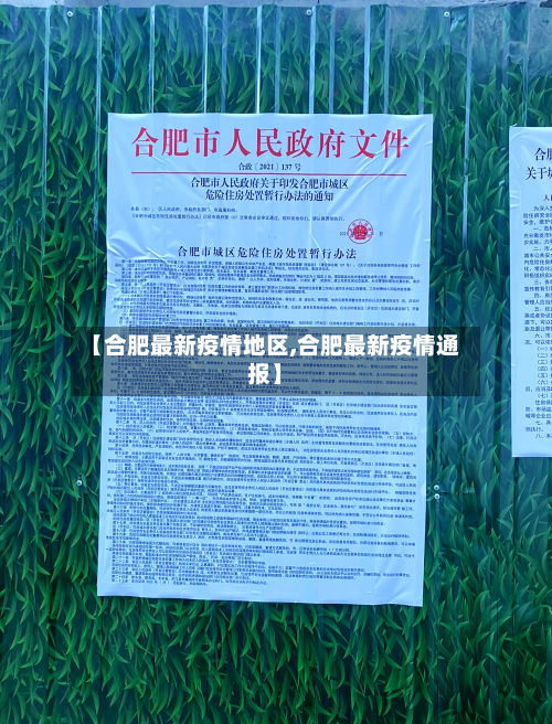 【合肥最新疫情地区,合肥最新疫情通报】