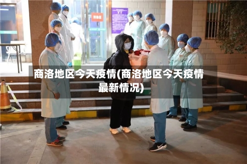 商洛地区今天疫情(商洛地区今天疫情最新情况)-第2张图片