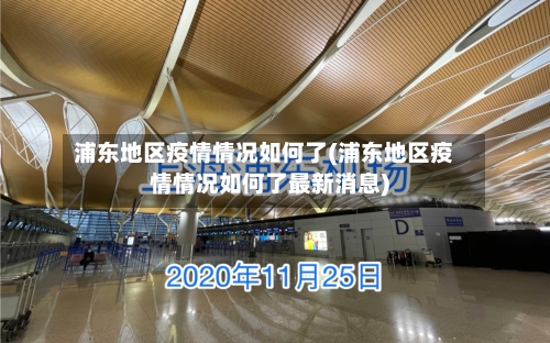 浦东地区疫情情况如何了(浦东地区疫情情况如何了最新消息)