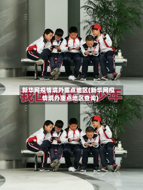 新华网疫情境外重点地区(新华网疫情境外重点地区查询)-第2张图片