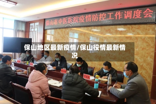 保山地区最新疫情/保山役情最新情况-第2张图片