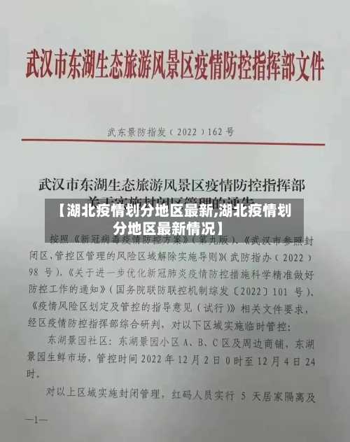 【湖北疫情划分地区最新,湖北疫情划分地区最新情况】-第2张图片