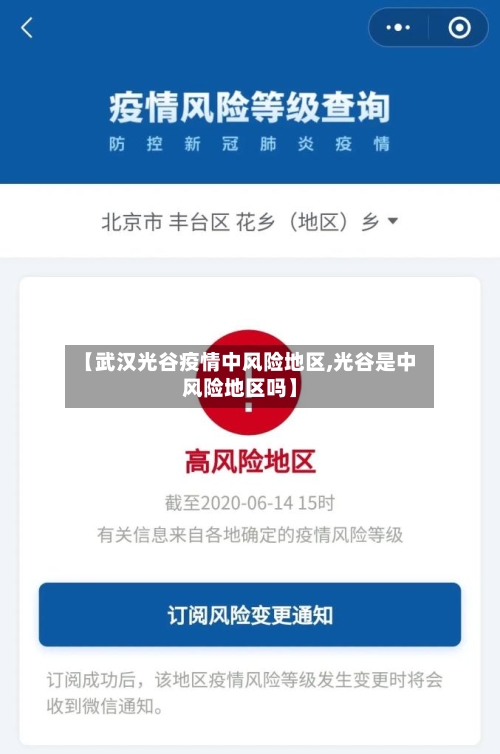 【武汉光谷疫情中风险地区,光谷是中风险地区吗】-第2张图片