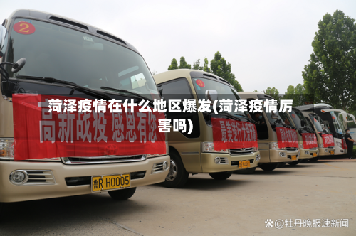 菏泽疫情在什么地区爆发(菏泽疫情厉害吗)-第3张图片