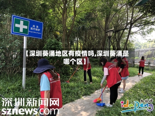【深圳葵涌地区有疫情吗,深圳葵涌是哪个区】-第3张图片