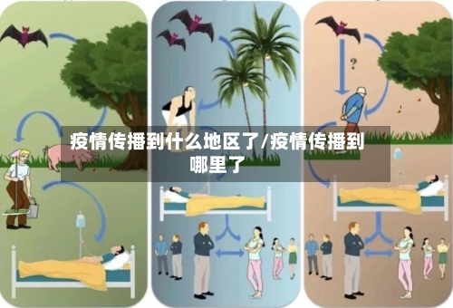 疫情传播到什么地区了/疫情传播到哪里了