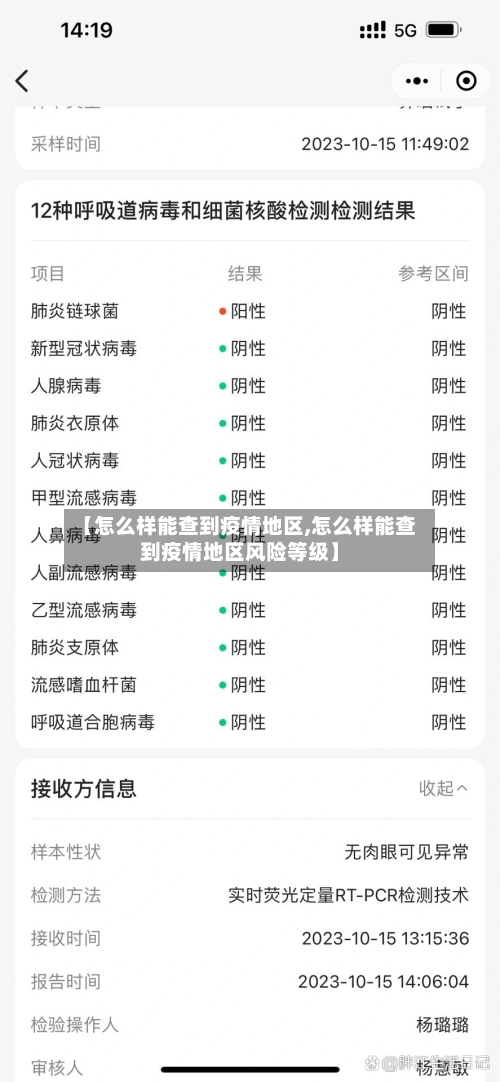 【怎么样能查到疫情地区,怎么样能查到疫情地区风险等级】-第2张图片