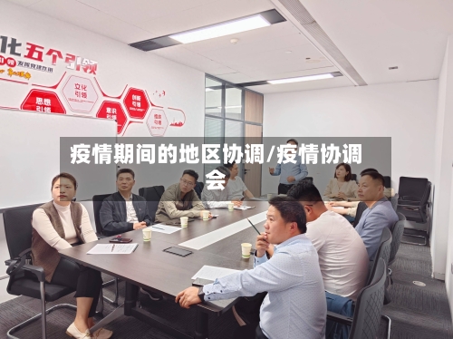 疫情期间的地区协调/疫情协调会