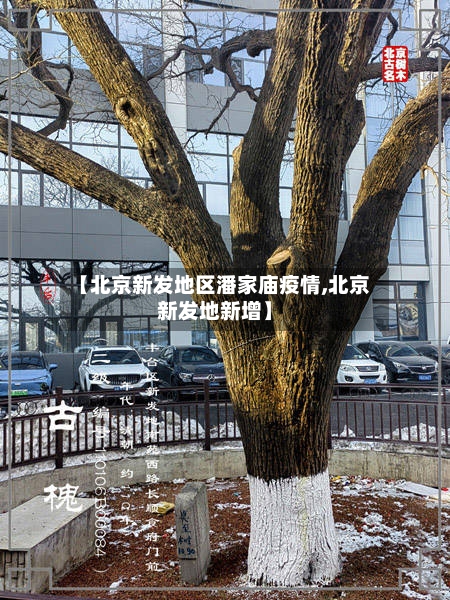 【北京新发地区潘家庙疫情,北京新发地新增】-第2张图片