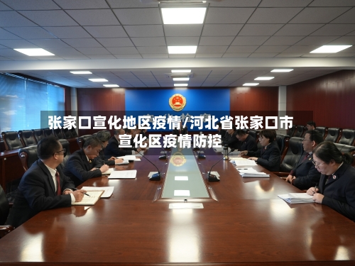 张家口宣化地区疫情/河北省张家口市宣化区疫情防控-第2张图片