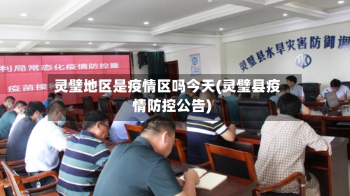 灵璧地区是疫情区吗今天(灵璧县疫情防控公告)-第2张图片