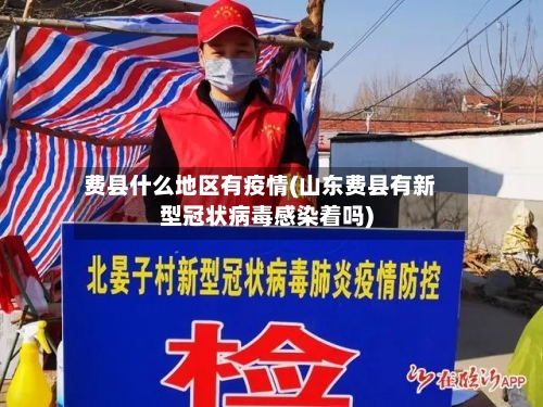 费县什么地区有疫情(山东费县有新型冠状病毒感染着吗)-第2张图片