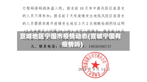 宣城地区宁国市疫情动态(宣城宁国有疫情吗)-第2张图片