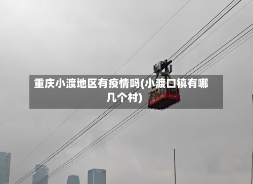 重庆小渡地区有疫情吗(小渡口镇有哪几个村)