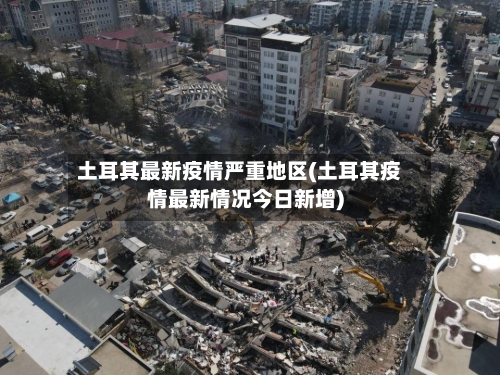 土耳其最新疫情严重地区(土耳其疫情最新情况今日新增)-第2张图片