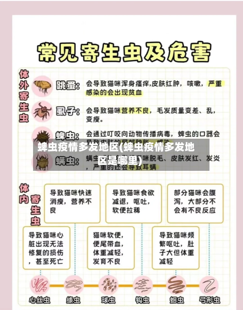 蜱虫疫情多发地区(蜱虫疫情多发地区是哪里)