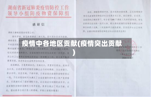 疫情中各地区贡献(疫情突出贡献)