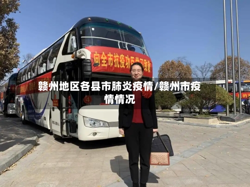 赣州地区各县市肺炎疫情/赣州市疫情情况