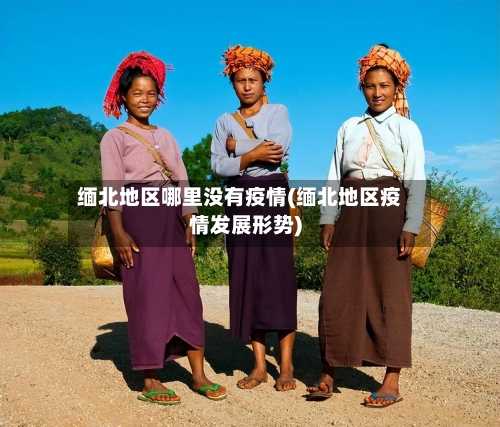 缅北地区哪里没有疫情(缅北地区疫情发展形势)