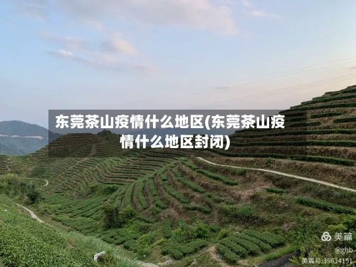 东莞茶山疫情什么地区(东莞茶山疫情什么地区封闭)