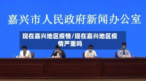 现在嘉兴地区疫情/现在嘉兴地区疫情严重吗-第3张图片