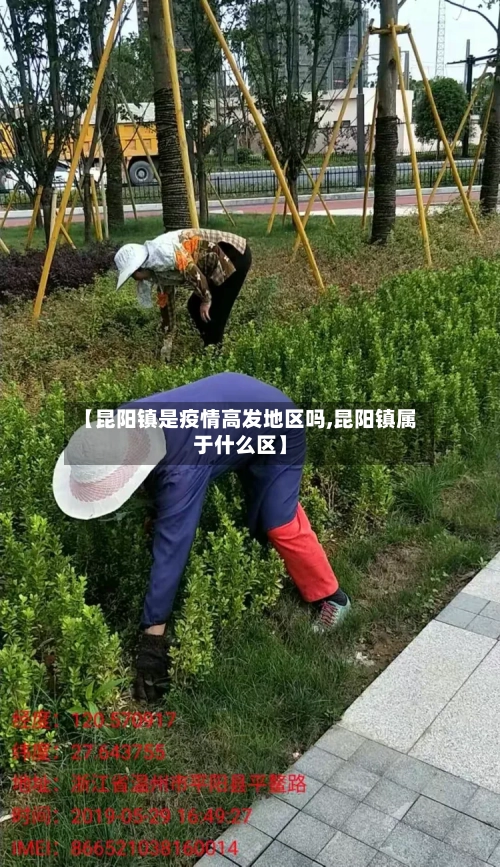 【昆阳镇是疫情高发地区吗,昆阳镇属于什么区】