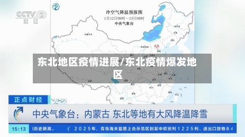 东北地区疫情进展/东北疫情爆发地区-第3张图片
