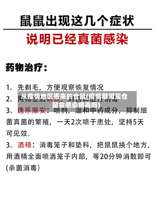 从疫情地区寄来的仓鼠(疫情期间买仓鼠会感染病毒吗)