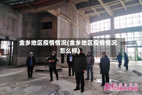 金乡地区疫情情况(金乡地区疫情情况怎么样)-第3张图片