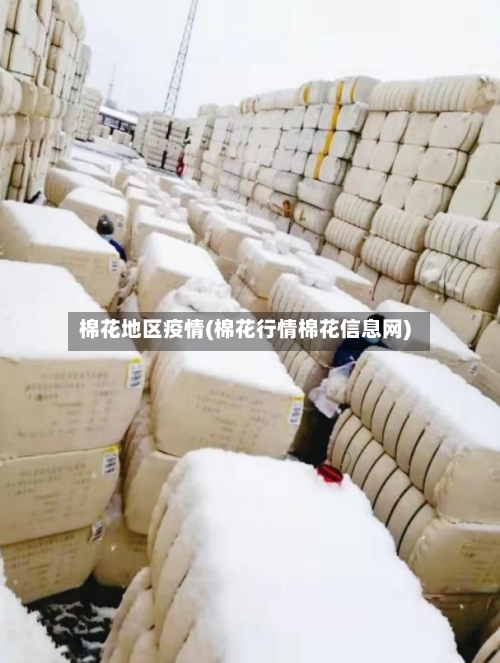 棉花地区疫情(棉花行情棉花信息网)
