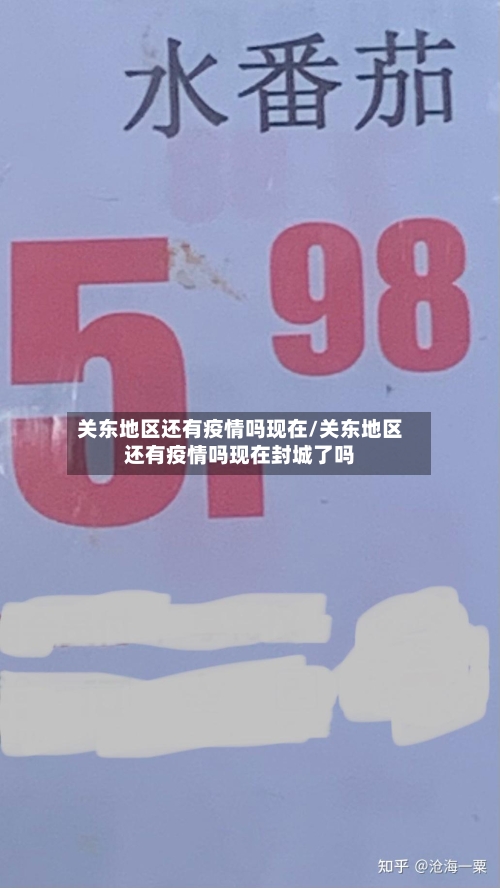 关东地区还有疫情吗现在/关东地区还有疫情吗现在封城了吗