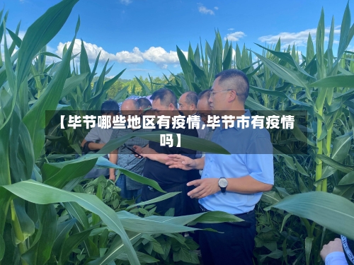 【毕节哪些地区有疫情,毕节市有疫情吗】-第2张图片