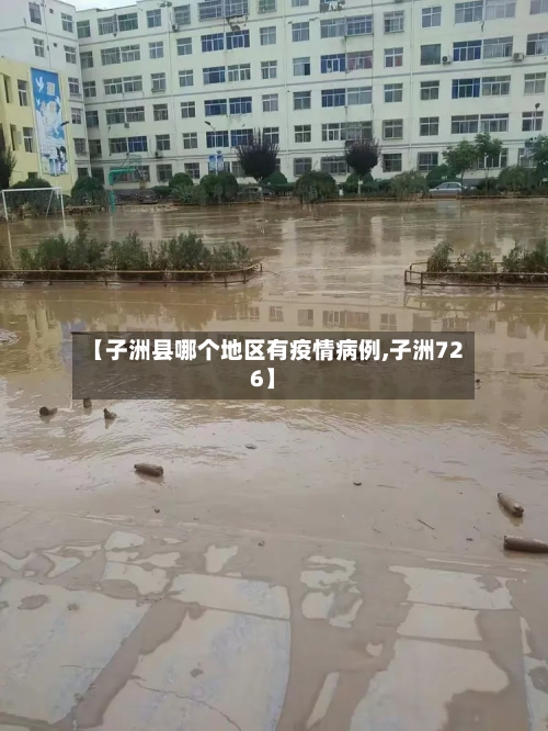 【子洲县哪个地区有疫情病例,子洲726】-第3张图片
