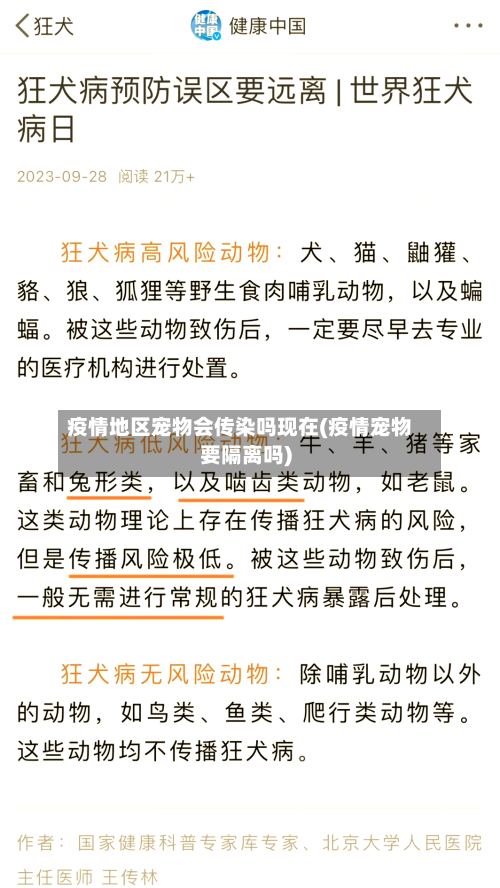 疫情地区宠物会传染吗现在(疫情宠物要隔离吗)-第3张图片