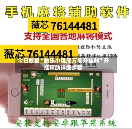 今日教程“微乐小程序万能开挂器	”开挂辅助详细步骤-第3张图片
