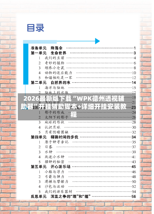 2026最新版下载“WPK德州透视辅助器	”开挂辅助脚本+详细开挂安装教程-第2张图片