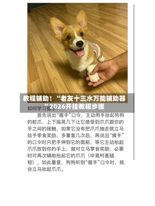 教程辅助！“老友十三水万能辅助器	”2026开挂教程步骤-第2张图片