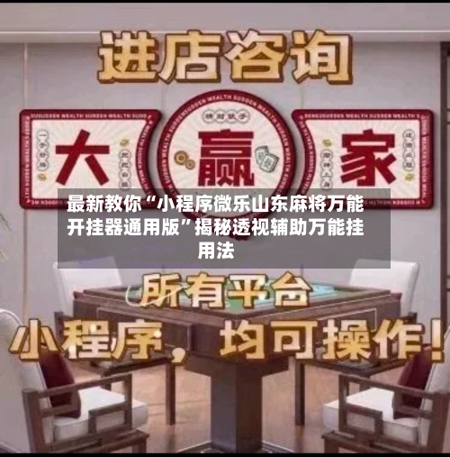 最新教你“小程序微乐山东麻将万能开挂器通用版”揭秘透视辅助万能挂用法-第2张图片