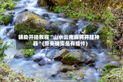 辅助开挂教程“山水云南麻将开挂神器”(原来确实是有插件)-第2张图片