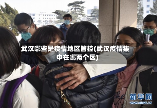 武汉哪些是疫情地区管控(武汉疫情集中在哪两个区)-第2张图片