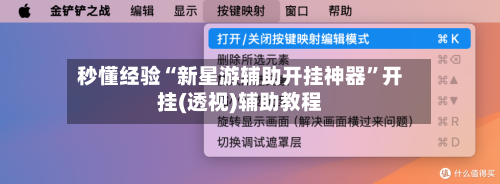 秒懂经验“新星游辅助开挂神器”开挂(透视)辅助教程-第3张图片